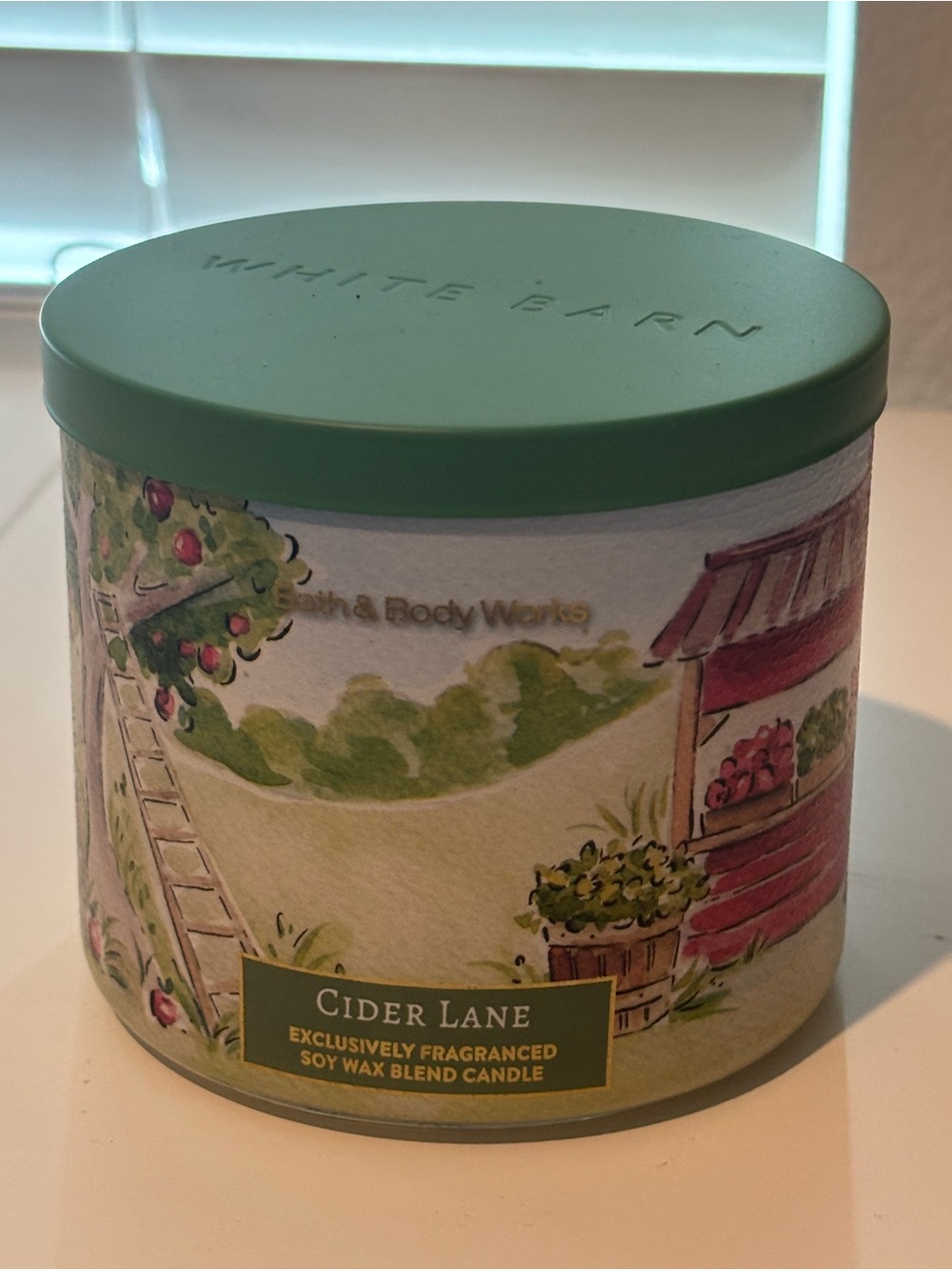 Bath & Body Works Cider Lane Candle - Green